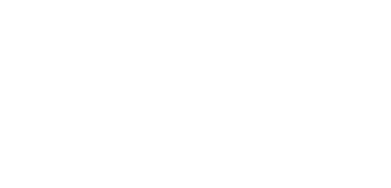 Microsoft Small Business Specialist
